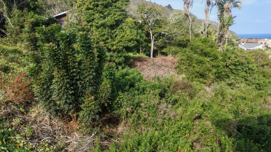  Bedroom Property for Sale in Glentana Western Cape